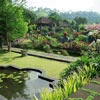 Plant Nursery in Kolkata - Green World Nursery